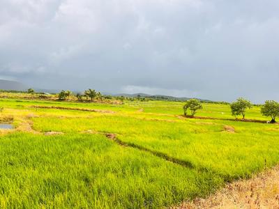 Project Image of 1000.0 - 10000.0 Sq.ft Residential Plot Plot for buy in Capstone Land Plots In Chirle
