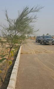 Project Image of 0.0 - 900.0 Sq.ft Residential Plot Plot for buy in Cosy Presidium Empire