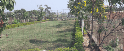 Shreeji Infrastructure Vaishali Landscape Garden and Tree Planting 1