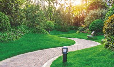 Project Image of 1200.0 - 14016.33 Sq.ft Residential Plot Plot for buy in Arvind The Park