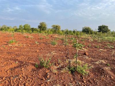 Project Image of 1089.0 - 5445.0 Sq.ft Residential Plot Plot for buy in V Navya Greens