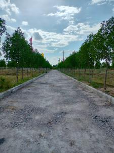 Project Image of 1440.0 - 2547.0 Sq.ft Residential Plot Plot for buy in Viraaditya Green Avenue