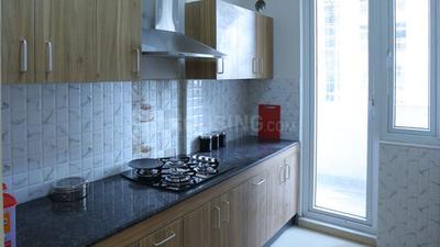 Project Image of 1050.0 - 1525.0 Sq.ft 2 BHK Apartment for buy in MGH Mulberry County
