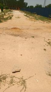 Project Image of 923.44 - 2320.59 Sq.ft Residential Plot Plot for buy in TBC Grand Lapalazzo P3