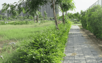 Project Image of 2322.0 - 6300.0 Sq.ft Residential Plot Plot for buy in QVC G99