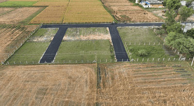 Project Images