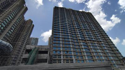Project Image of 394.0 - 720.0 Sq.ft 1 BHK Apartment for buy in Marathon Nexzone Cedar 2