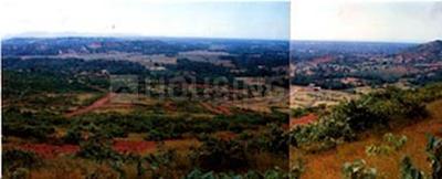 Project Image of 3767.0 - 43055.0 Sq.ft Residential Plot Plot for buy in Kayji Tara Estates