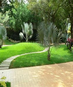 Project Image of 363.07 - 546.05 Sq.ft 1 BHK Apartment for buy in Shree Anand