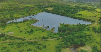 Project Image of 1957.74 - 3169.65 Sq.ft Residential Plot Plot for buy in Shapoorji Pallonji Treetopia Phase 6