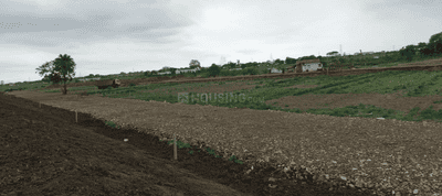 Project Image of 401.49 - 11909.84 Sq.ft Residential Plot Plot for buy in Silicon Waterfront