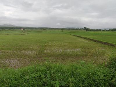 Project Image of 1000.0 - 10000.0 Sq.ft Residential Plot Plot for buy in Farm N Land Ranjanpada