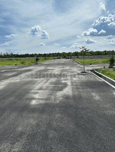 Project Images