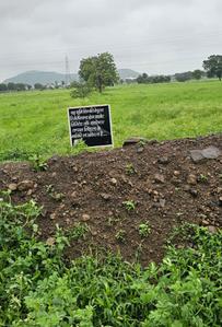 Project Image of 555.53 - 1966.03 Sq.ft Residential Plot Plot for buy in Tirupati Kamdhenu Park
