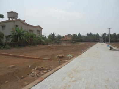 Project Image of 2439.0 - 4464.0 Sq.ft Residential Plot Plot for buy in Paramount Heritage