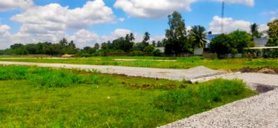 Project Image of 600.0 - 2500.0 Sq.ft Residential Plot Plot for buy in Urbanrise Orchid Greens