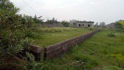 Project Image of 450.0 - 10350.0 Sq.ft Residential Plot Plot for buy in Shubham Jewar City