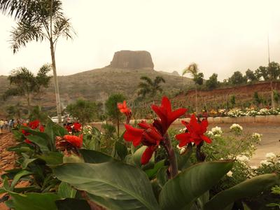 Project Image of 0.0 - 10764.0 Sq.ft Residential Plot Plot for buy in Asha Bramha Greens