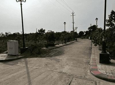 Project Images