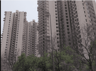 Project Image of 1195.0 - 3235.0 Sq.ft 2 BHK Apartment for buy in Amrapali Heartbeat City IV