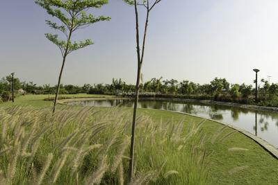 Project Image of 4320.0 - 10125.0 Sq.ft Residential Plot Plot for buy in Synthesis Suramya Lifespace