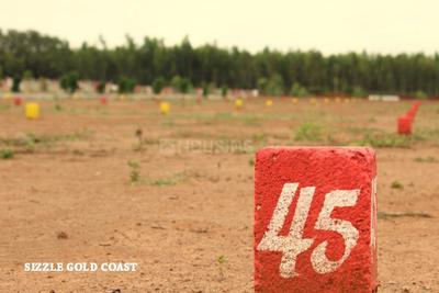 Gallery Cover Pic of Sizzle Gold Coast