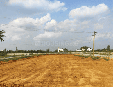 Project Image of 1127.11 - 2241.69 Sq.ft Residential Plot Plot for buy in Falcon Sun And Serenity