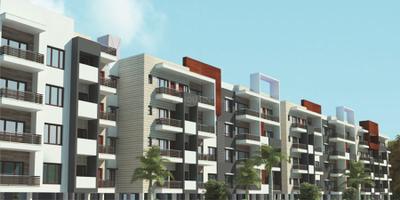 Project Images