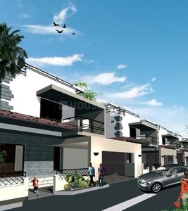 Project Images