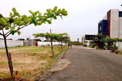 Project Image of 1438.0 - 2125.0 Sq.ft 4 BHK Villa for buy in ARAN