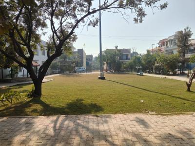 Project Image of 540 Sq.ft 1 RK Apartment / Flat for sale in Kharar for Rs. 1890000