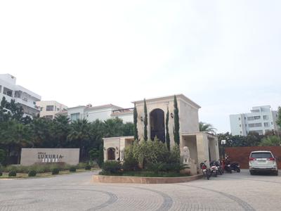 Kolla Luxuria Others 1