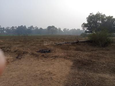 Project Image of 1200.0 - 1925.0 Sq.ft Residential Plot Plot for buy in Redbrick Empire