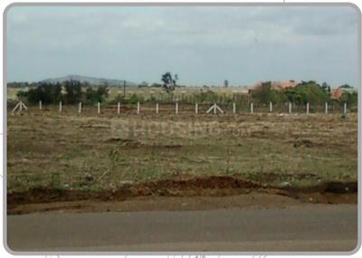 Project Image of 3066.0 - 7515.0 Sq.ft Residential Plot Plot for buy in ABC Olive Yards
