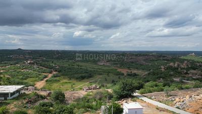 Project Image of 2199.5 - 6772.33 Sq.ft Residential Plot Plot for buy in Aliens Hub