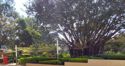 Project Image of 719.0 - 2437.0 Sq.ft 1 BHK Apartment for buy in Brigade Buena Vista