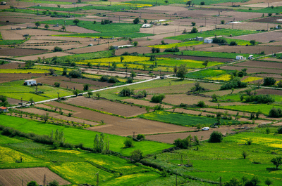 Project Image of 1000.0 - 1800.0 Sq.ft Residential Plot Plot for buy in Amrita Vaikunth Residency