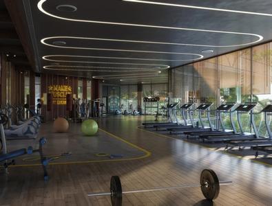Project Image of 424.0 - 1809.0 Sq.ft Studio Studio Apartment for buy in Sattva Lumina