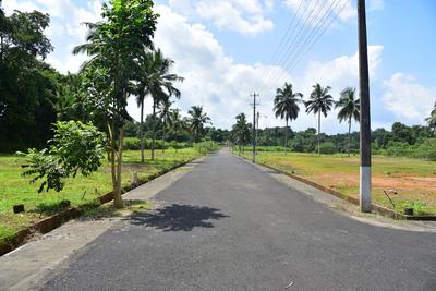 Project Image of 1504.0 - 4138.2 Sq.ft Residential Plot Plot for buy in Amitha Natures Nest