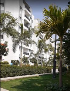 Project Image of 2000.0 - 2900.0 Sq.ft 3 BHK Apartment for buy in Gowra Palm Breeze Apartment
