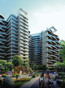 Pinnacle D Dreams Elevation 3