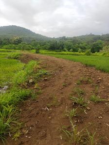 Project Image of 1000.0 - 10000.0 Sq.ft Residential Plot Plot for buy in Farm N Land Roha