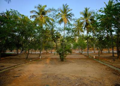 Project Image of 1593.06 - 4389.0 Sq.ft Residential Plot Plot for buy in DRA Ranka Palm Lakeside