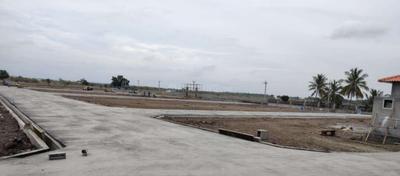 Project Images