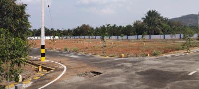 Project Image of 6781.26 - 23723.66 Sq.ft Residential Plot Plot for buy in Shrii Vishakha Garden