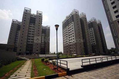 Project Image of 1490.0 - 1790.0 Sq.ft 3 BHK Apartment for buy in Sobha Ruby Platinum