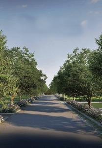 Project Image of 2400.0 - 2700.0 Sq.ft Residential Plot Plot for buy in Purva Hibiscus