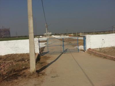 Project Image of 450.0 - 4050.0 Sq.ft Residential Plot Plot for buy in Royal Shape Prime View