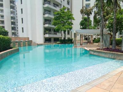 Project Image of 2615.0 - 8580.0 Sq.ft 3 BHK Apartment for buy in Parsvnath Exotica