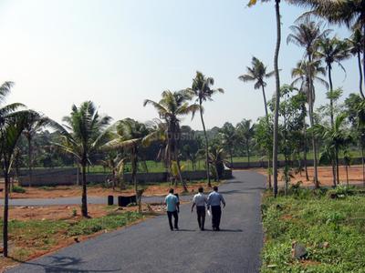 Project Image of 1572.0 - 3571.0 Sq.ft Residential Plot Plot for buy in Coral Gardens